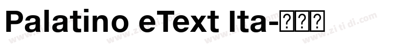 Palatino eText Ita字体转换 Palatino eText Ita字体转换